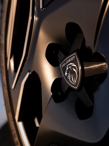 Jantes de liga leve do PEUGEOT E-5008